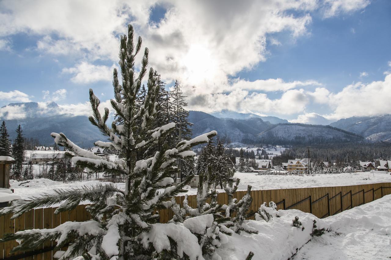 Udanypobyt Apartamenty Snowbird Kościelisko Exteriér fotografie